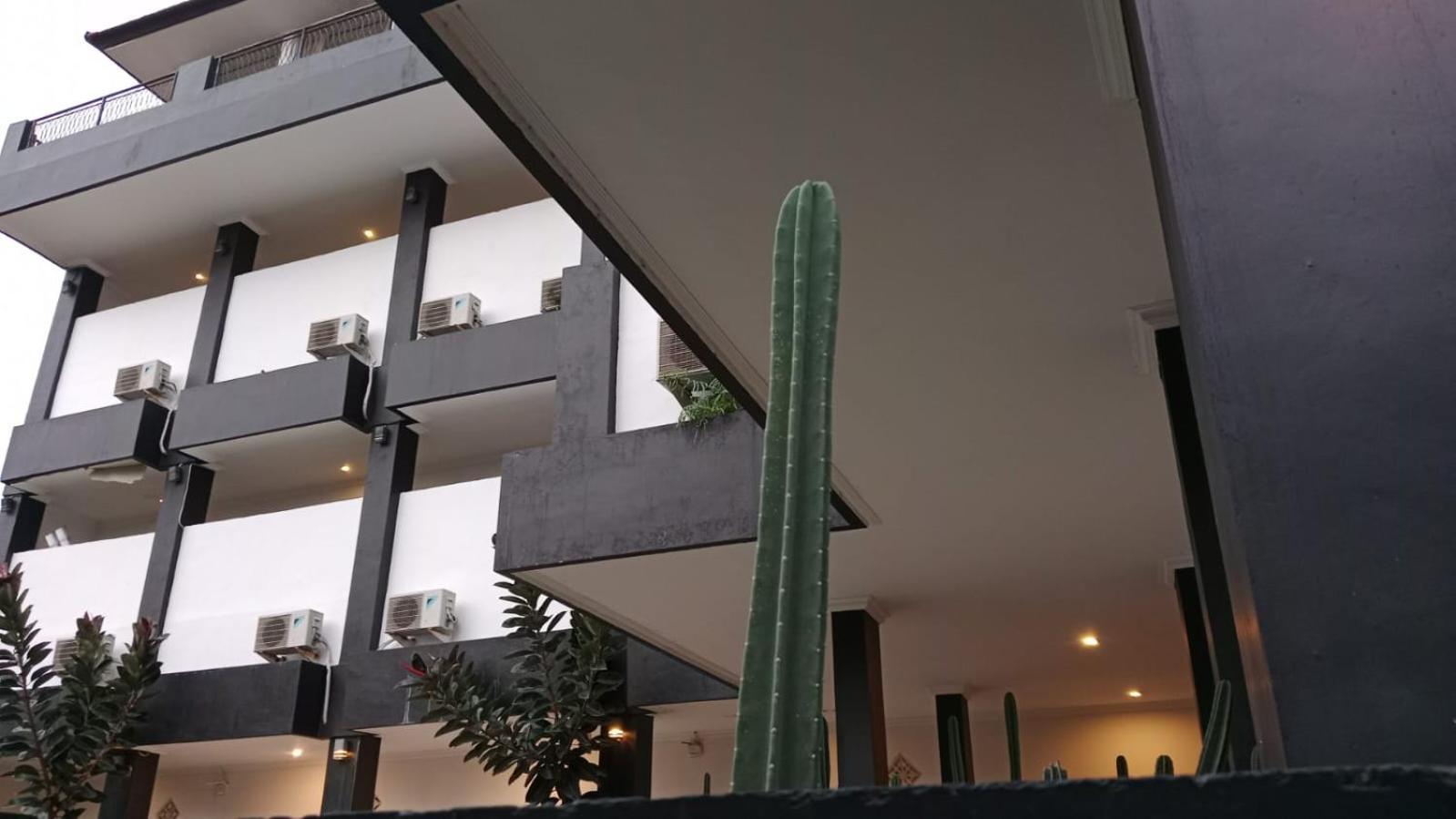 Nomad Hub Canggu Zewnętrze zdjęcie
